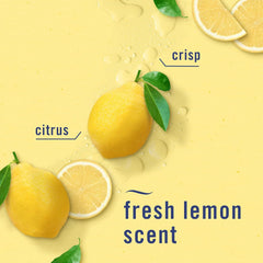 Febreze Air Mist, Air Freshener Spray, Odor Fighting Room Spray, Deodorizer for Home Bathroom Kitchen Office Apartment Dorm Room Classroom, Kitchen Odor Fighter Fresh Lemon Scent, 8.1oz, 3-pack
