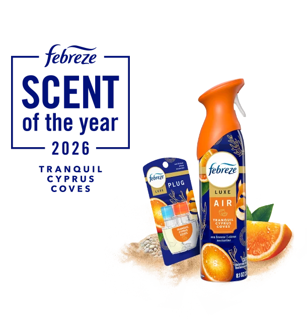 meet the scent of 2026